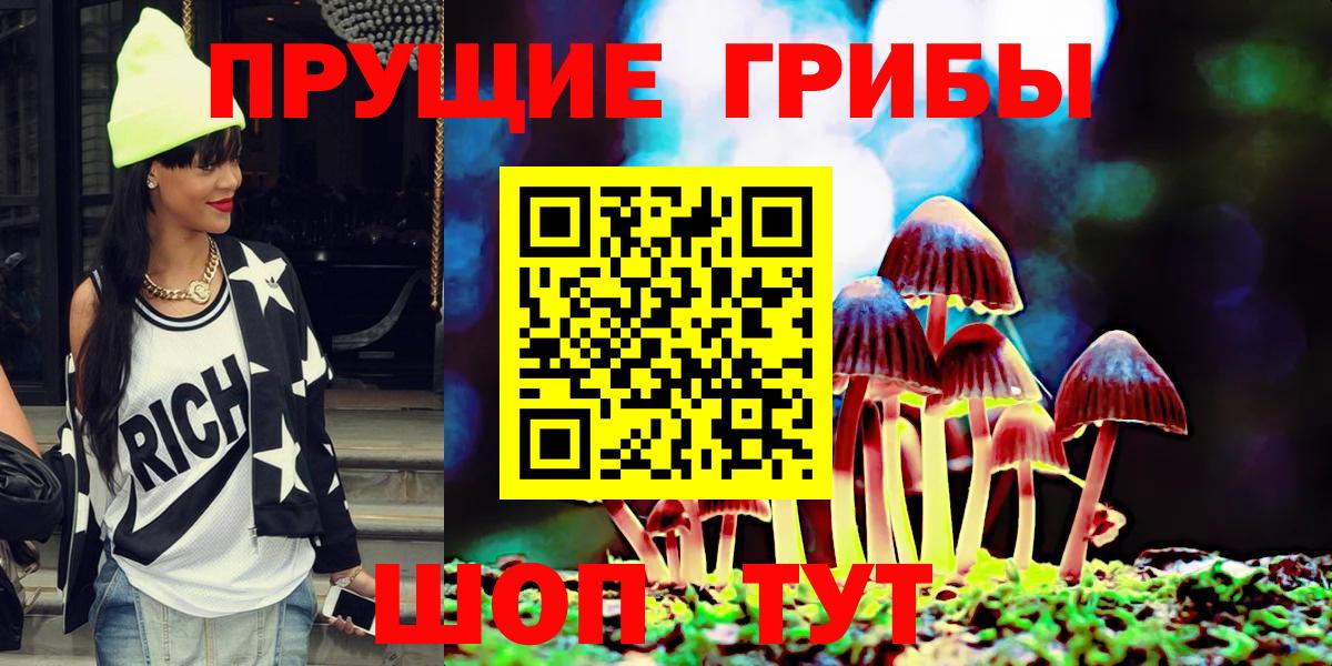 Строитель  Галлюциногенные грибы Psilocybine cubensis  Вход с VPN 